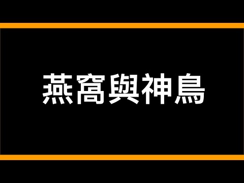 屋簷有鳥巢
