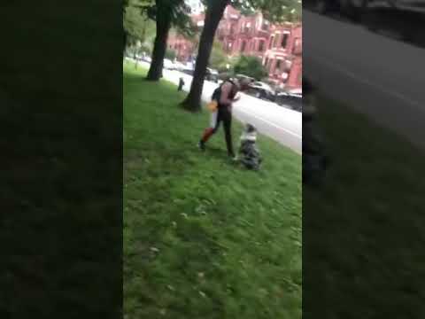 Triumph Dog Training LLC video.