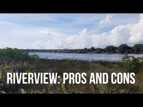 Pros and Cons | Riverview FL