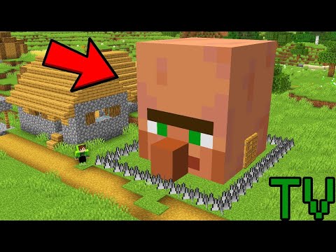 Guarding Non-Minecraft Mobs' House