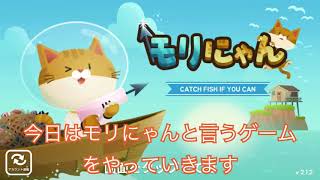 猫になって魚をとりまくってしまった