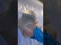 Birth Nascita Of A Silicon Baby In The Womb Baby Babieslife Kids Babyborn Trending Viral Babies Baby