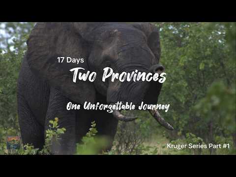 Kruger Series 2026 Part 1 - George to Marakele National Park