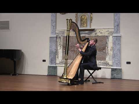 Suoni d'Arpa 2018 - Johannes Willemze