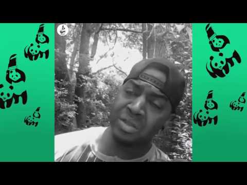 Marlon Webb Vine Compilation with Titles!  BEST Marlon Webb Vines 2016  - Top Viners ✔
