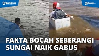 Fakta Video Bocah yang Seberangi Sungai Naik Styrofoam, Ternyata Bukan akan Berangkat Sekolah