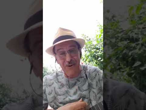 Caminito verde; autor Germán Fleitas Beroes.