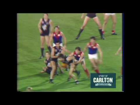 Stephen Gumley 1984 - Carlton Football Club Past Player