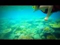 Great Barrier Reef