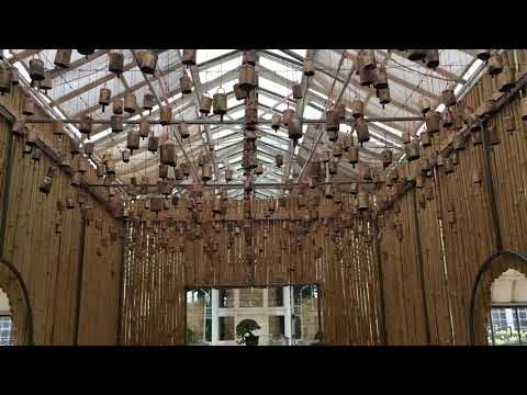 The Floating House Of Bonsai 2020