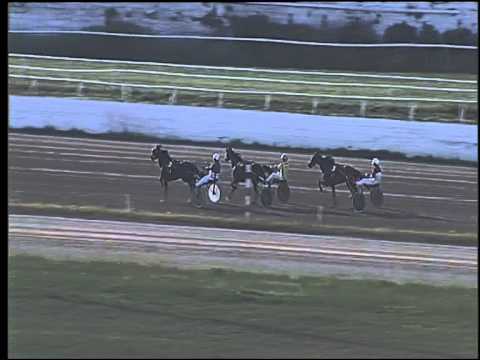 Trotto 04/06/2015 - 2° prova di riqualifica