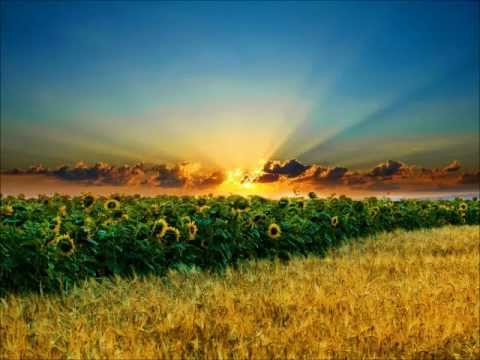 Neptune Project, Polly Strange - The Inside Feat. Polly Strange (Sneijder Remix)