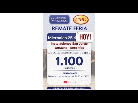 Instalaciones San Jorge - Durazno (E.R.)  - 1.100 Cabezas