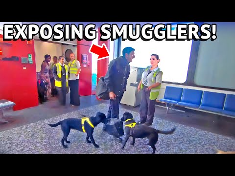 Customs Officers Expose How Smugglers Really Hide Their Dr*gs