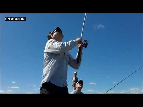 Pesca variada en Victoria (250911):