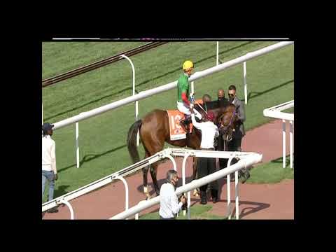 WORLD SPORTS BETTING SUMMER CUP  Gr1 -  FLYING CARPET