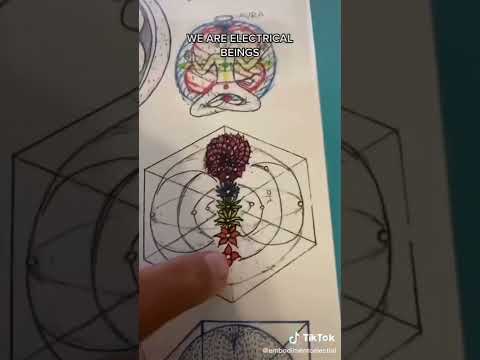 All is electro-magnetism, torus fields & ether