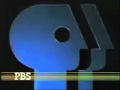 PBS 1970 2000 As Short As 1989 Pbs