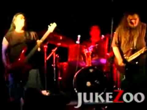 29 Years (Live) - The Joint Effect