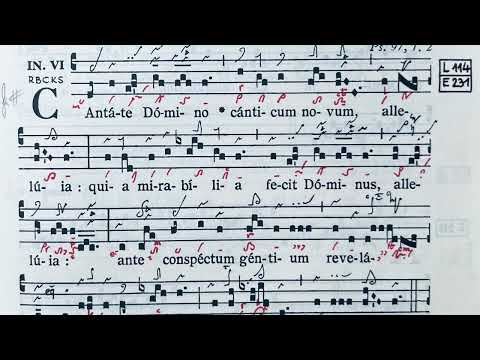 Cantate Domino canticum novum - Ad introitum
