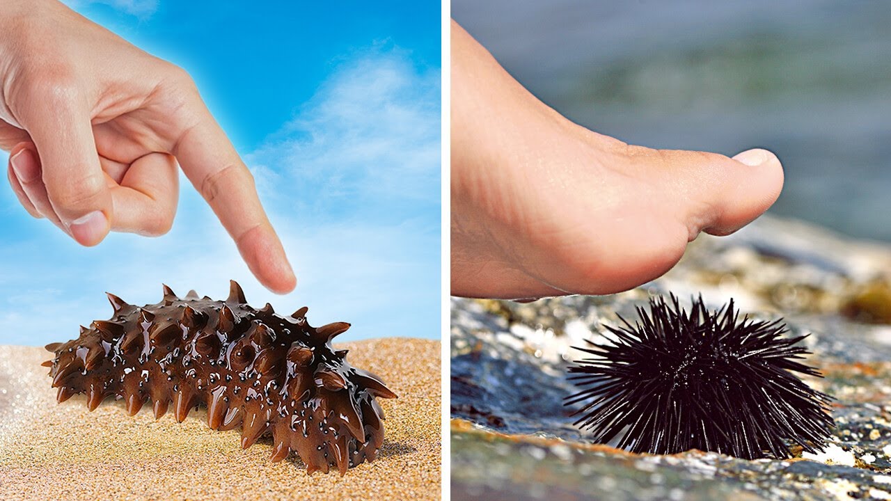 Coisas que você nunca deve tocar e mais dicas essenciais de segurança