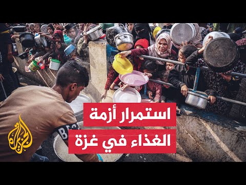 فيديو | فلسطينيون يصطفون في طوابير للحصول على الطعام في دير البلح وسط قطاع غزة