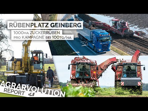 1000 ha Rüben im Innviertel - Von der Pille bis zur Zuckerrübe | Agrarvolution Report