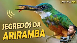Miniatura do vídeo