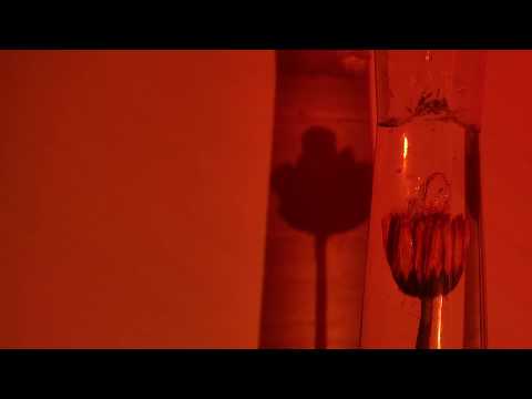 Valuá, Rebeca - Truques