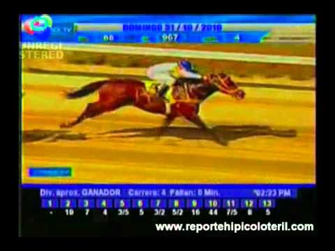 Resumen La Rinconada Domingo 31/10/2010