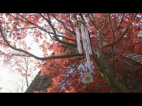 Peaceful Wind Chimes - 6 Hours of Relaxing Wind Chimes with Nature Sounds for Sleep and Meditation