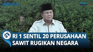 Presiden Prabowo Sentil 20 Perusahaan Sawit yang Bikin 100 Ribu Rakyat Sengsara