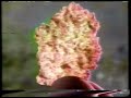 1990 Post Raisin Bran Cereal Commercial