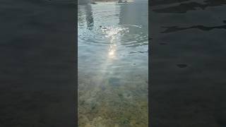 Русалочка?! | Mermaid?! | N&agrave;ng ti&ecirc;n c&aacute;?! &mdash; Нячанг, Вьетнам 🌊 iPhone 16 Pro#shorts