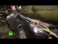 Ураган «Никлас» в Германии унес жизни семи человек 