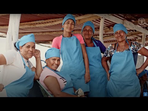 Las mujeres del estado Sucre: emprendedoras y resilientes