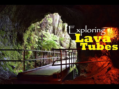 A walkthrough of the Thurston Lava Tubes hike | Big Island of Hawaii