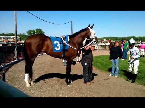 Gran Tiro's 5th win in a row