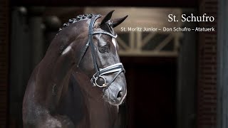 CDI 3* de Aalborg : Blue Hors St Schufro impressionne