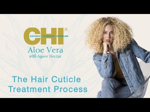 Миниатюра изображения товара Спрей для волос CHI Aloe Vera With Agave Nectar Для возрожд кудр с алоэ и нект агавы (177мл)