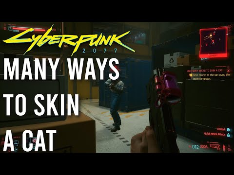 MANY WAYS TO SKIN A CAT! (CYBERPUNK 2077 PS5) #Cyberpunk2077