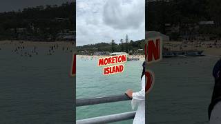 Tangalooma Island Resort at Moreton Island #cruise #cruisetour #travelvlog #travel #moretonisland