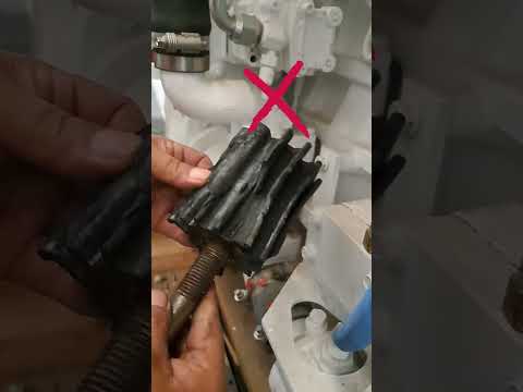 replace the impeller that is damaged #mechanics #tutorial #youtube #youtubeshorts #boat #shorts