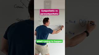 #sympathetic vs #parasympathetic