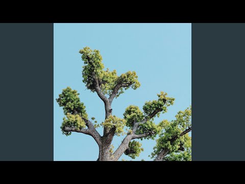 Transient