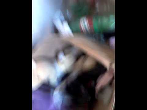 Casa Mal Assombrada e Abandonada