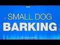 Small Dog Barking SOUND EFFECT Kleiner Hunde Bellen SOUND