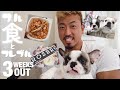 【ルーティンVlog】減量中のフル食と愛犬のフレブル登場!【犬】