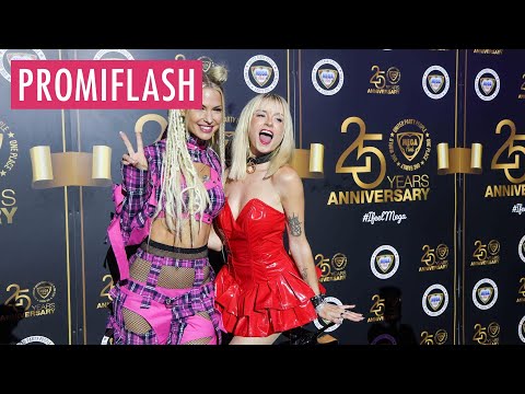 Megapark vs. Bierkönig: What the Ballermann stars earn