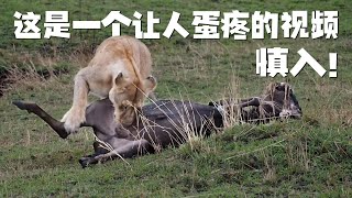 [問卦] 看別人蛋蛋痛為啥會感同身受？